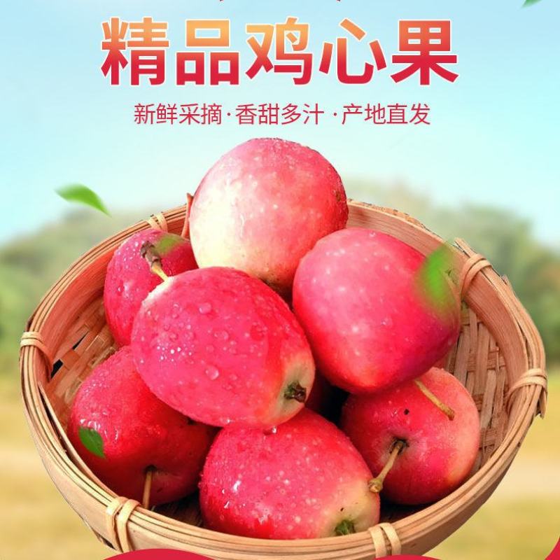 一件代发鸡心果海棠果电商供货主播供货产地直发