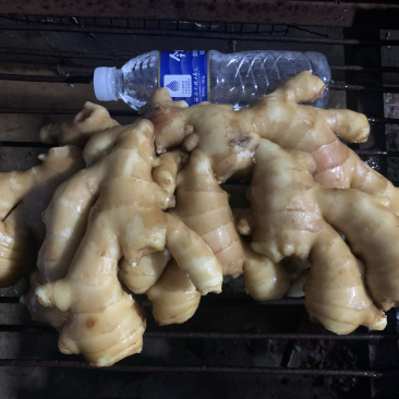 唐山顺盈姜业主营:土姜,水洗姜干姜!产区直供