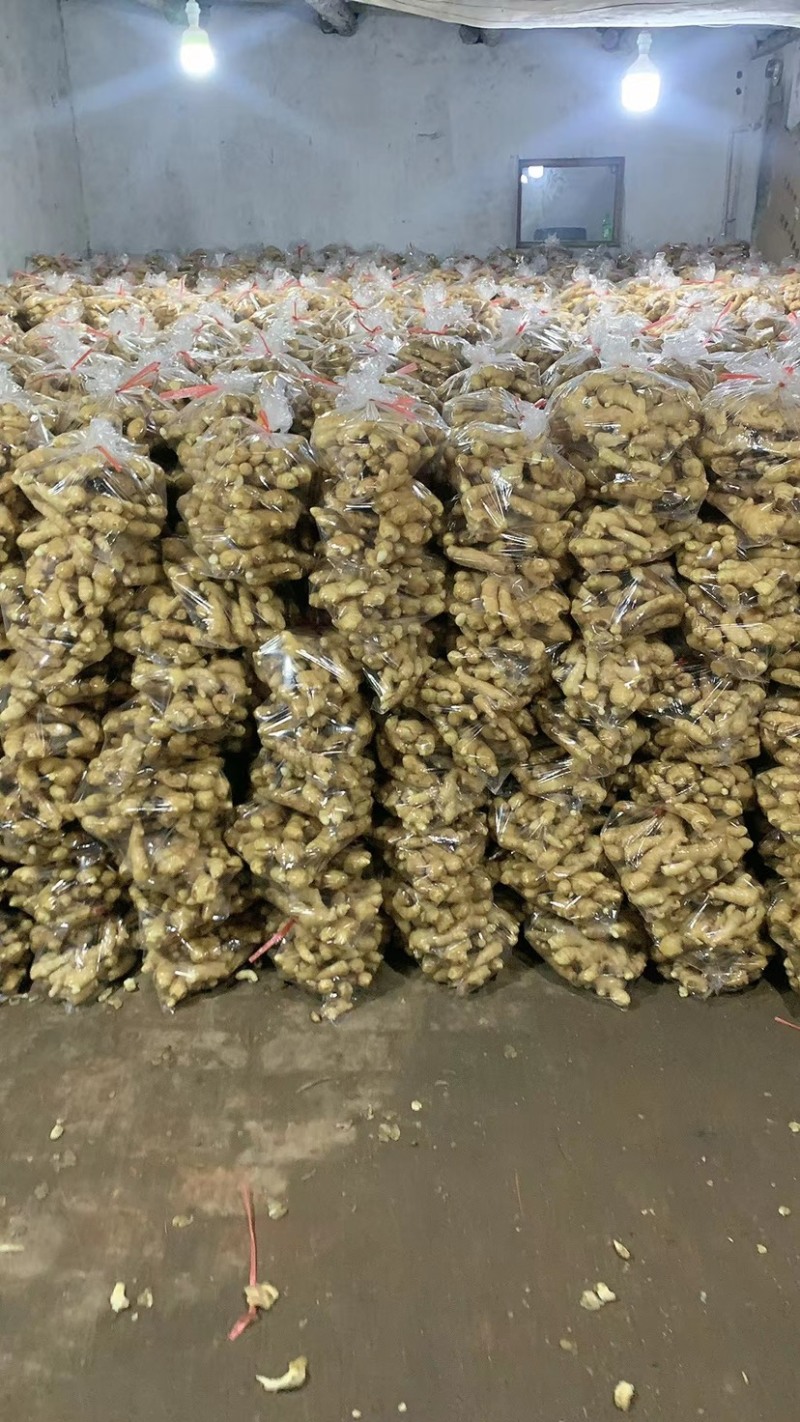 唐山顺盈姜业主营：土姜，水洗姜干姜！产区直供