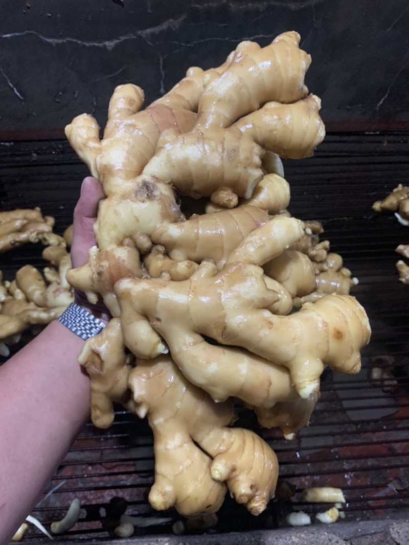 唐山顺盈姜业主营：土姜，水洗姜干姜！产区直供
