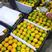 云南高山蜜橘柑桔品种齐全实力供应一手货源欢迎市场电商考察