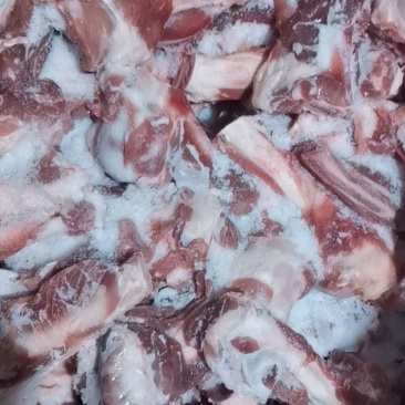 草膘羊-肉棒骨，新鲜速冻，肉多品相好，品质好