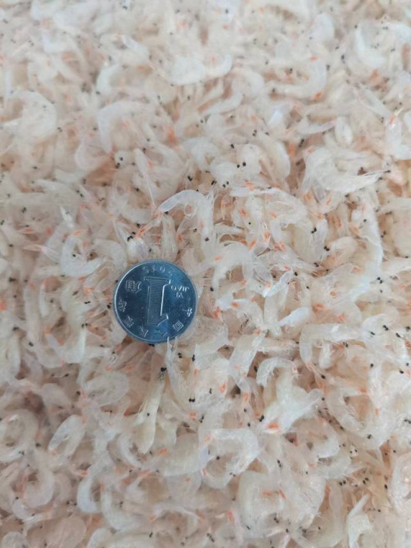 淡干无盐虾皮专供电商量大从优