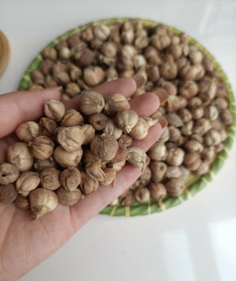 白蔻，本色白豆蔻，产地直销。一斤起批。价格实惠