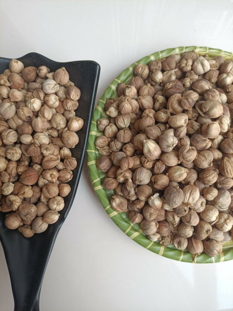 白蔻，本色白豆蔻，产地直销。一斤起批。价格实惠