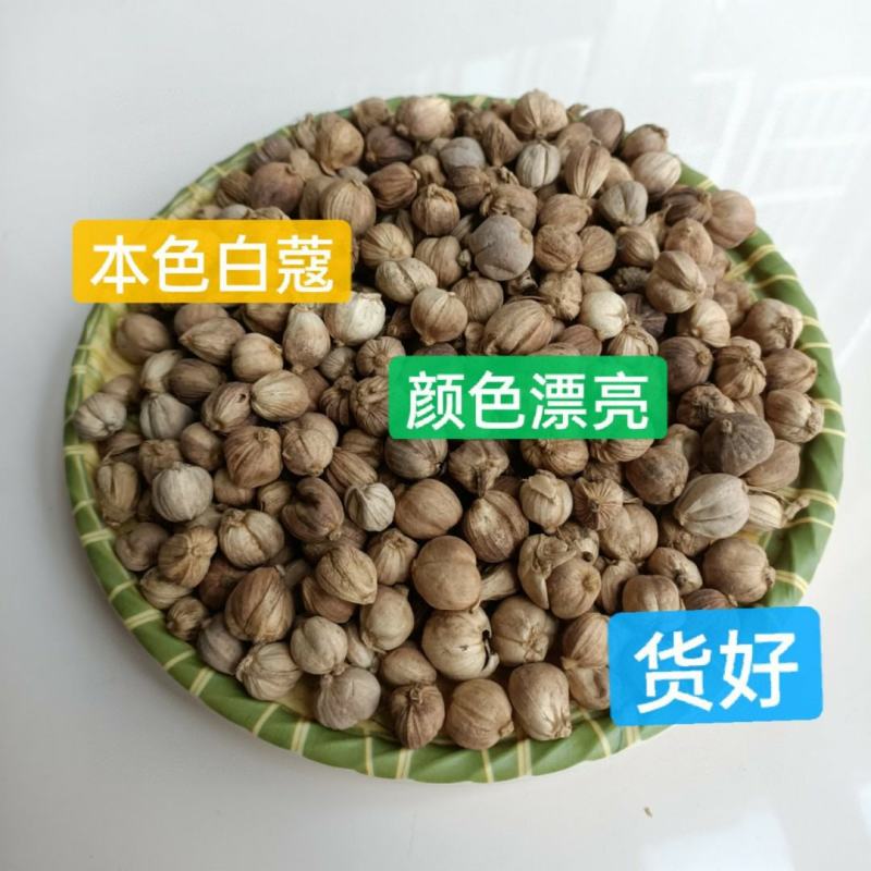 白蔻，本色白豆蔻，产地直销。一斤起批。价格实惠