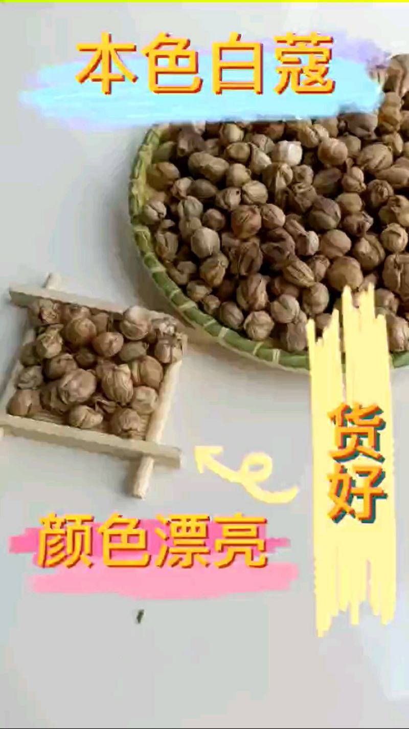 白蔻，本色白豆蔻，产地直销。一斤起批。价格实惠