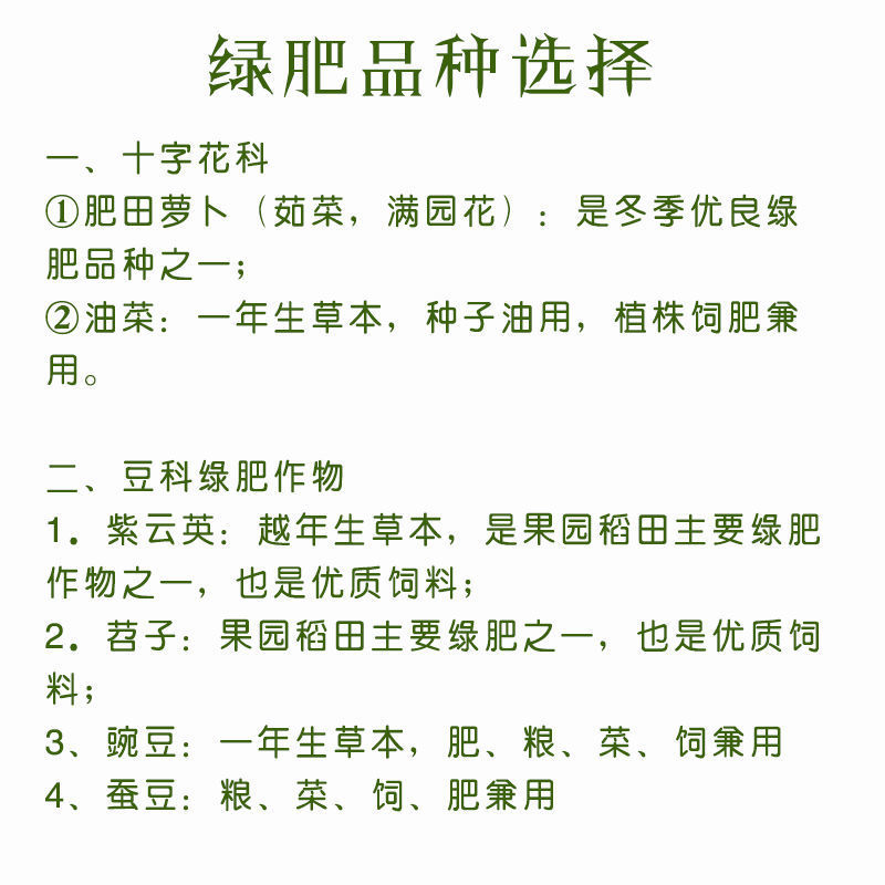 新品肥田萝卜种子，满园花茹菜种籽天然高产绿肥种子种子批发