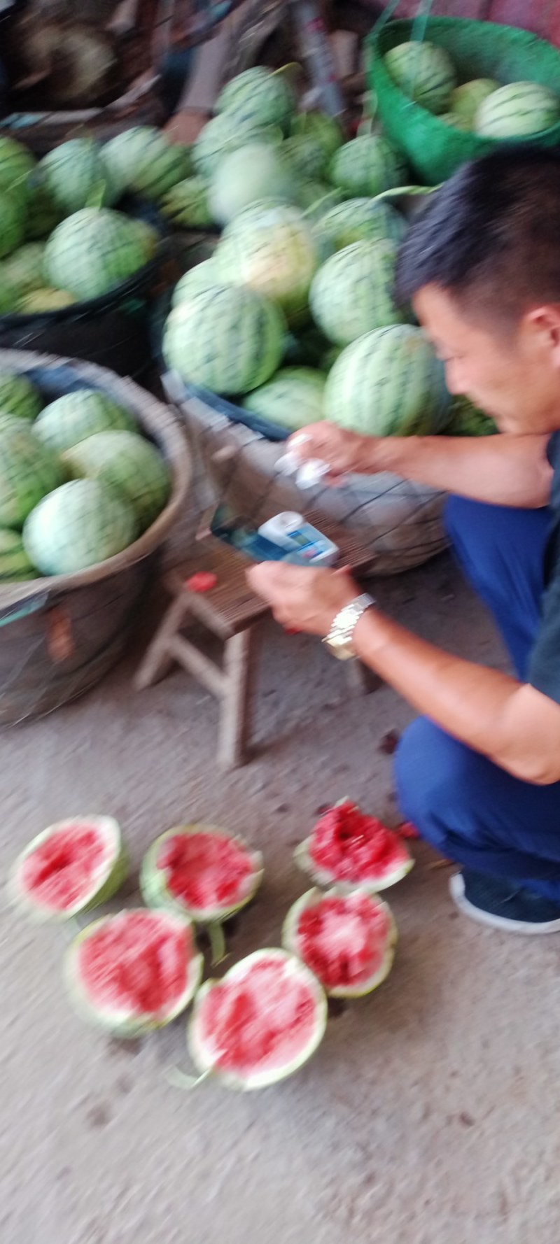 西瓜东方蜜每天有货。一条服务。谢大家合作