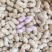 四川金堂新鲜花生红米花生两粒红新鲜花生水洗红米机洗花生