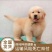 金毛价格金毛幼崽价格金毛幼犬价格平台推荐视频挑选