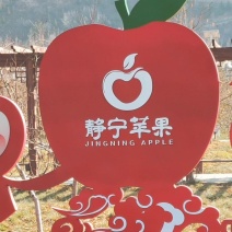 静宁苹果，欢迎光临！