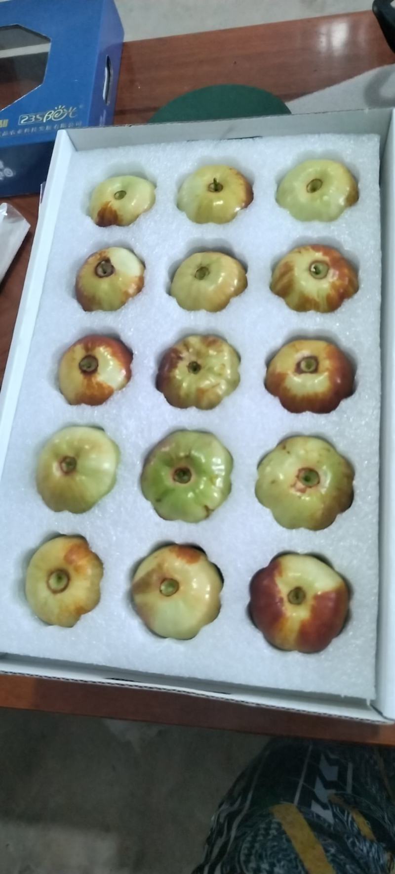 云南千亩蟠枣基地出售鲜果