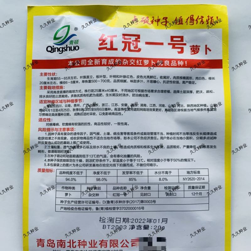 红冠一号萝卜皮色光亮鲜红品质细腻味甜多汁红皮萝卜种子