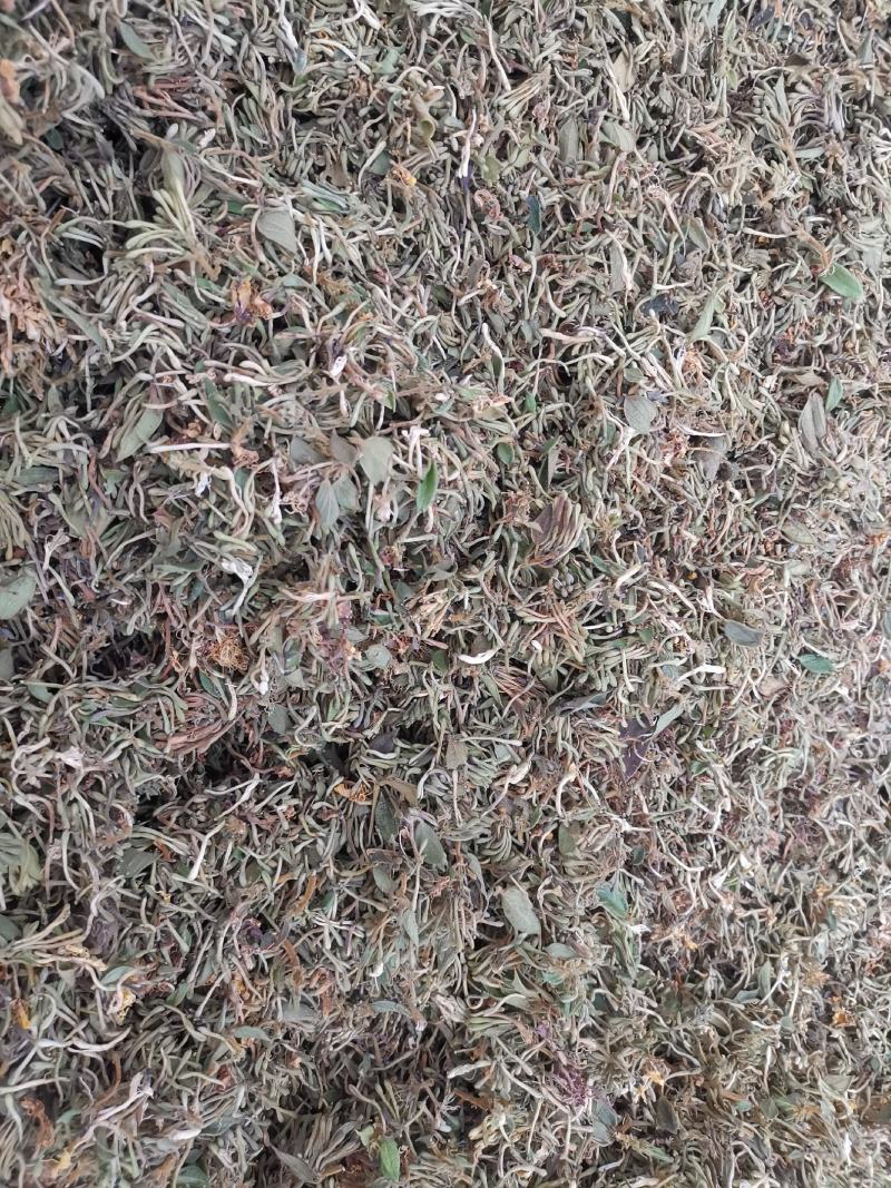 贵州金银花一级花蕾色青无硫味香杂质少