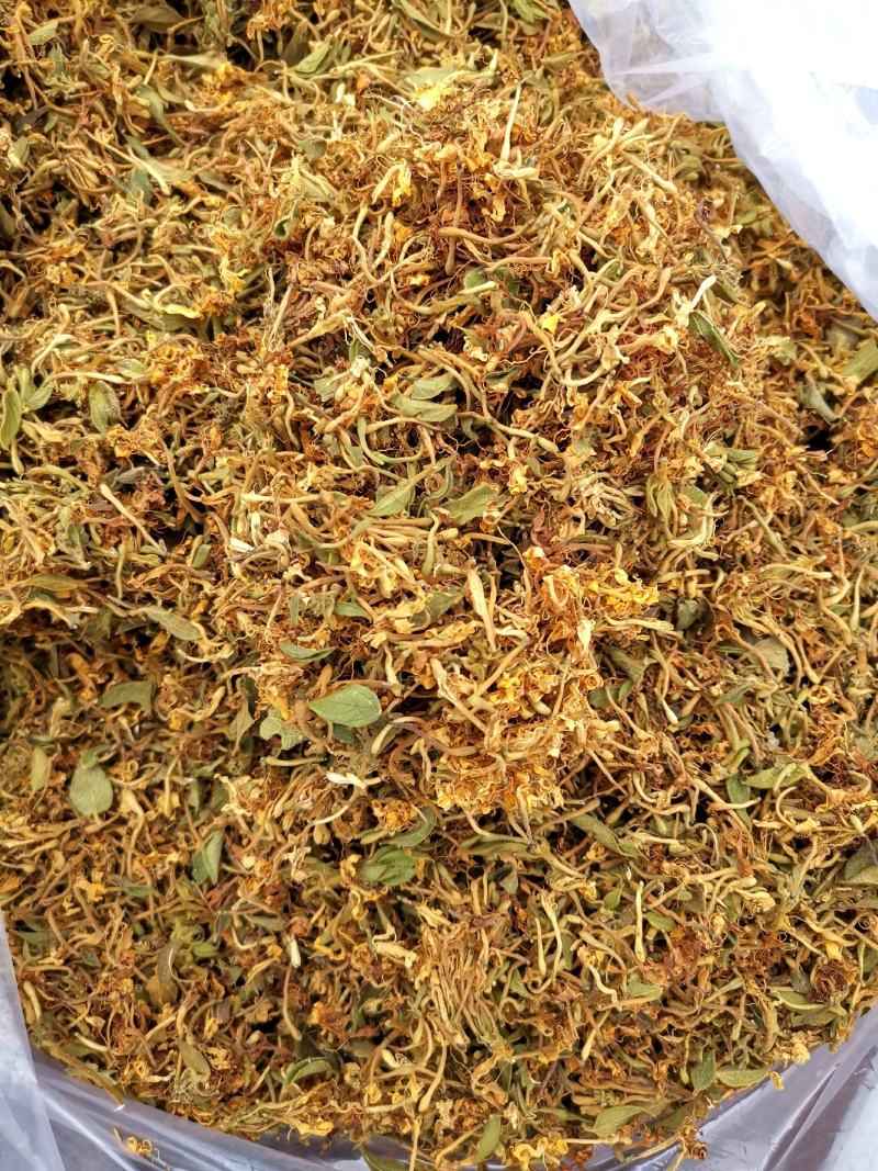 贵州金银花一级花蕾色青无硫味香杂质少