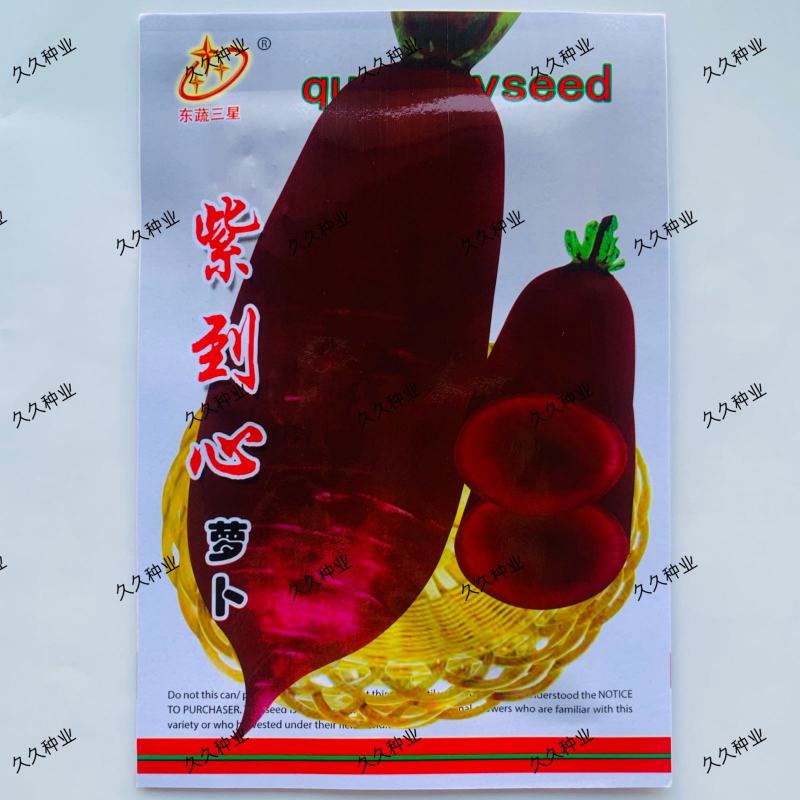 紫到心萝卜种子紫色皮肉心穿心红萝卜种籽紫皮白肉秋季