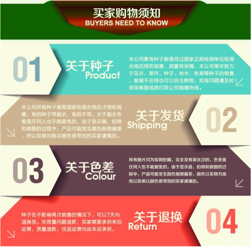 万寿菊种子金菊花蜂窝菊种子四季易种庭院阳台种子景观花海