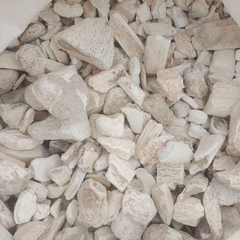 龙骨龙骨水洗干净正品货黏舌头地道药材产地甘肃省