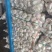 邳州新蒜分级蒜精品大蒜全国发货诚信经营