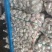 邳州新蒜分级蒜精品大蒜全国发货诚信经营