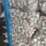 邳州新蒜分级蒜精品大蒜全国发货诚信经营