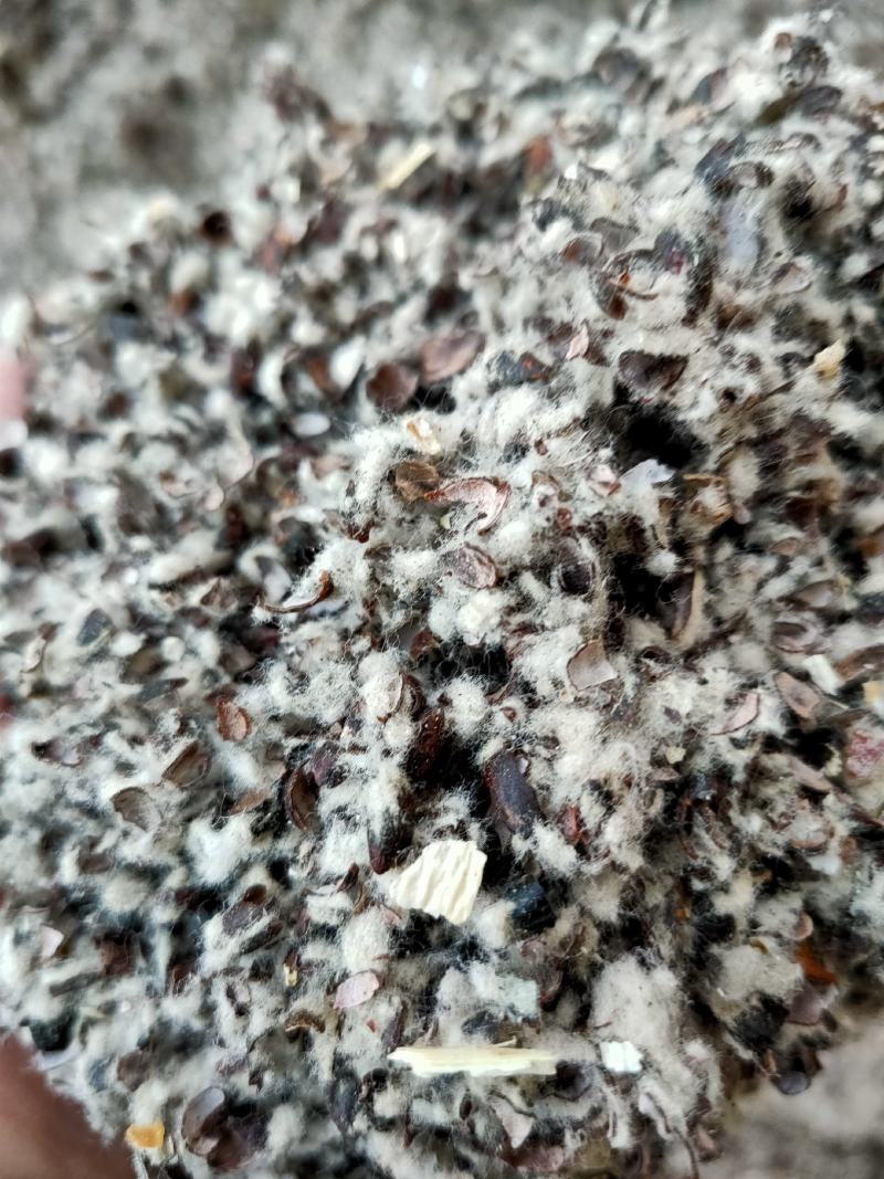 浙江杭州金华宁波丽水嘉兴棉籽壳中壳中绒