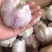 邳州新蒜分级蒜精品大蒜全国发货诚信经营