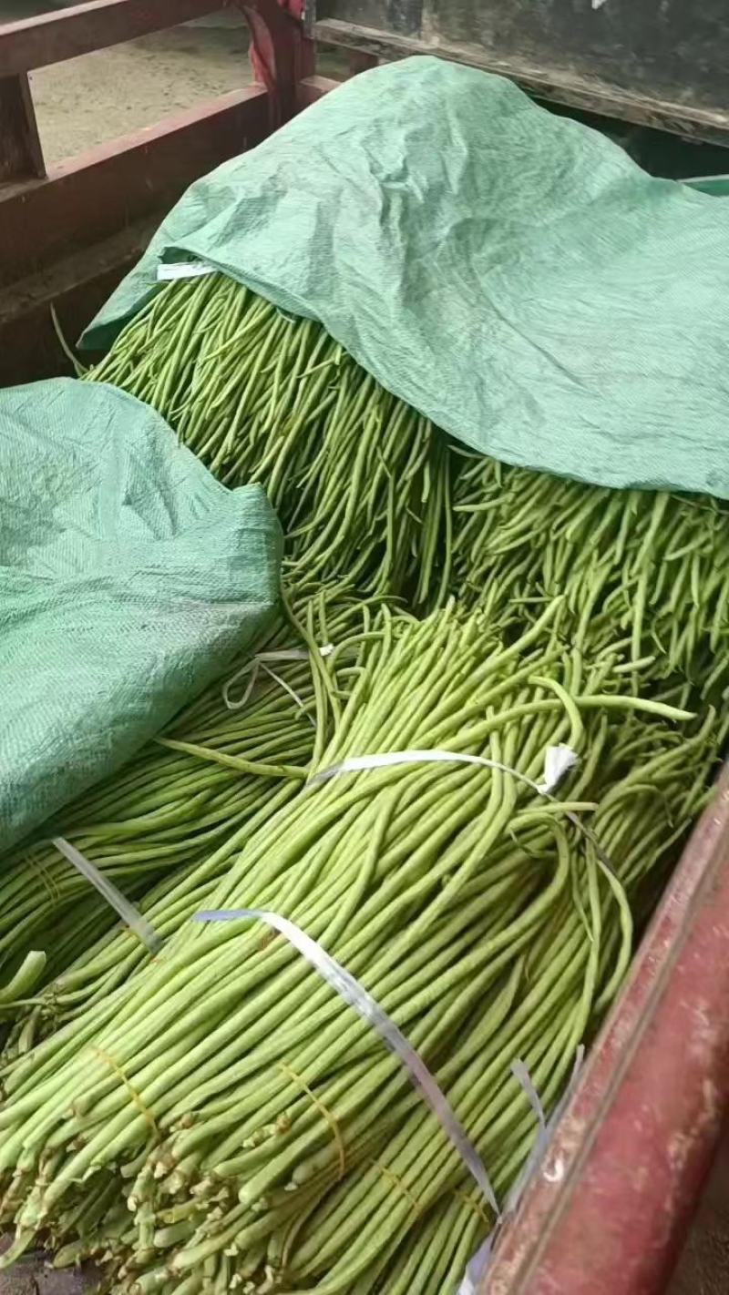 豇豆