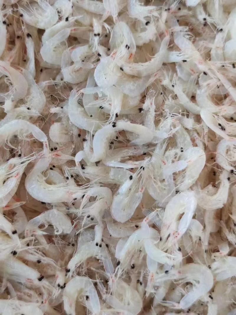 淡干无盐虾皮专供电商量大从优