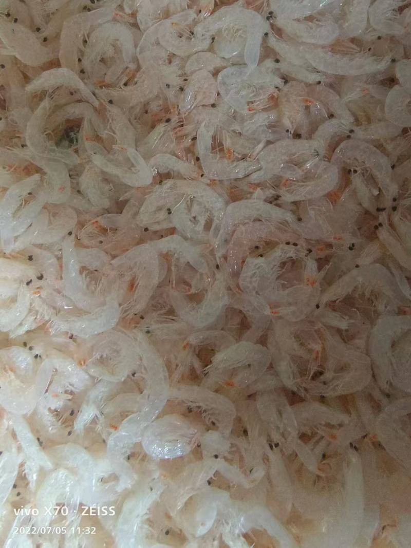 淡干无盐虾皮专供电商量大从优