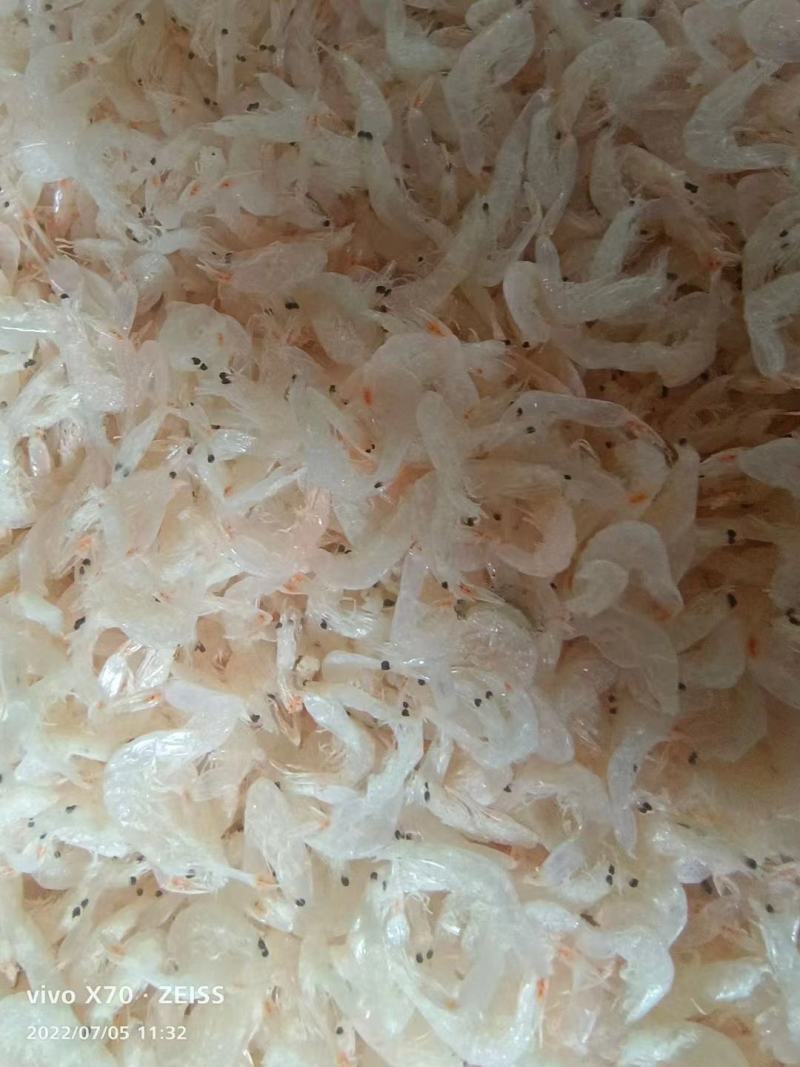 淡干无盐虾皮专供电商量大从优