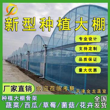 天津种植大棚管蔬菜西瓜草莓花卉菌菇大棚专用管质优价廉