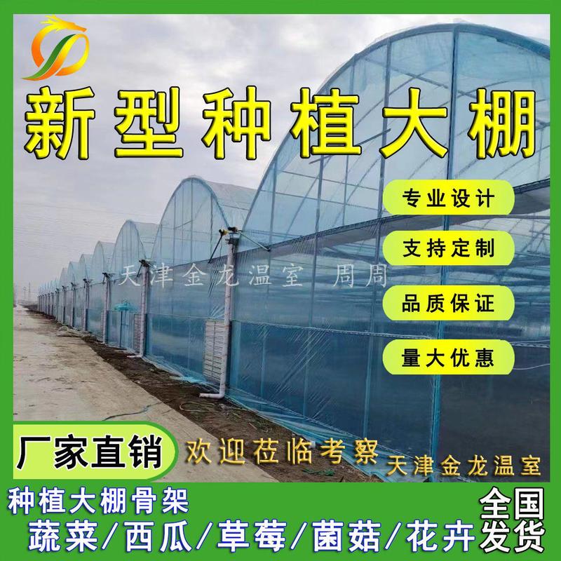 天津种植大棚管蔬菜西瓜草莓花卉菌菇大棚专用管质优价廉