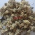 (热销)菊花产地河北产地大货实物拍摄量多从优祥泰药材栈