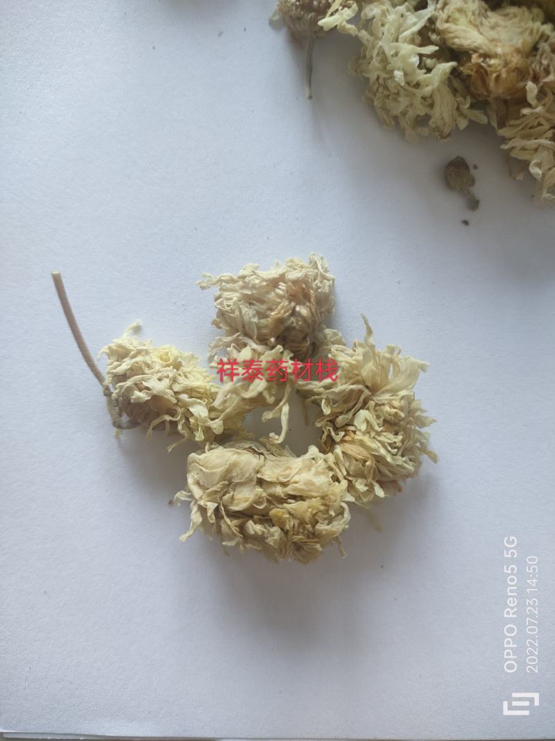 （热销）菊花产地河北产地大货实物拍摄量多从优祥泰药材栈