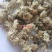 (热销)菊花产地河北产地大货实物拍摄量多从优祥泰药材栈