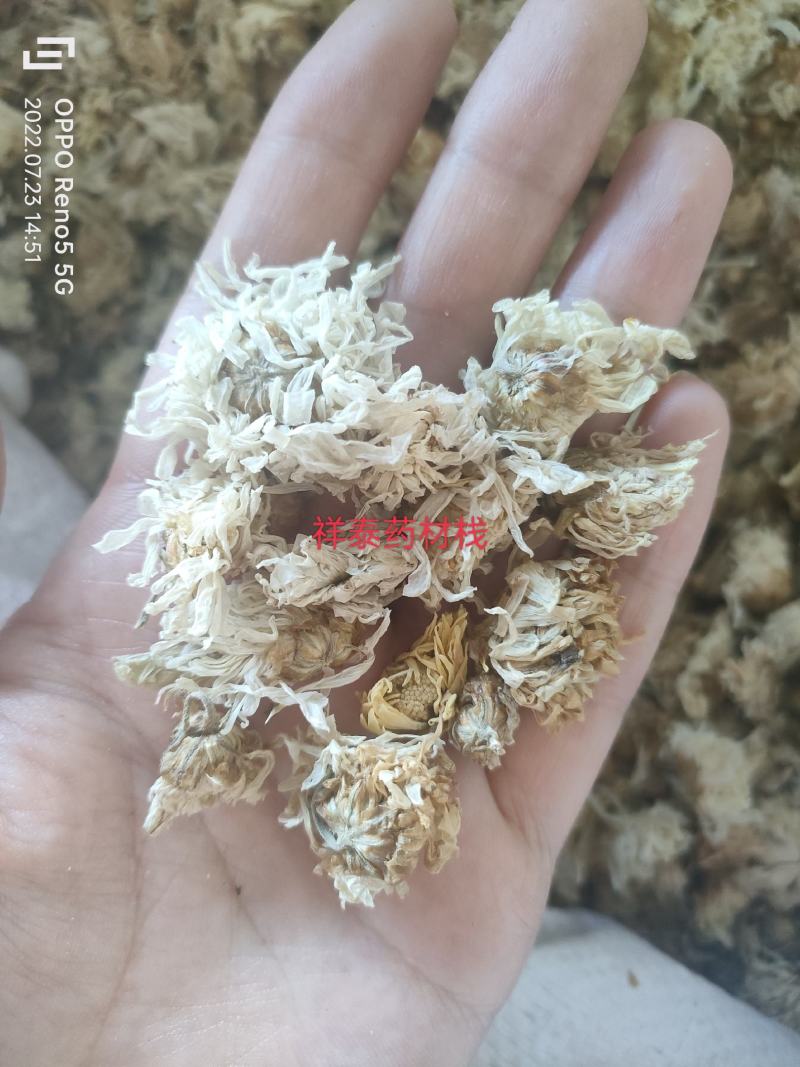 （热销）菊花产地河北产地大货实物拍摄量多从优祥泰药材栈
