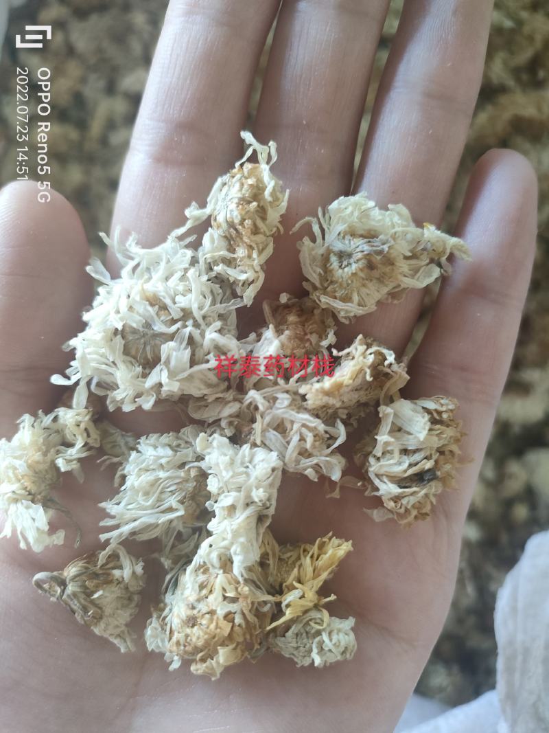 （热销）菊花产地河北产地大货实物拍摄量多从优祥泰药材栈