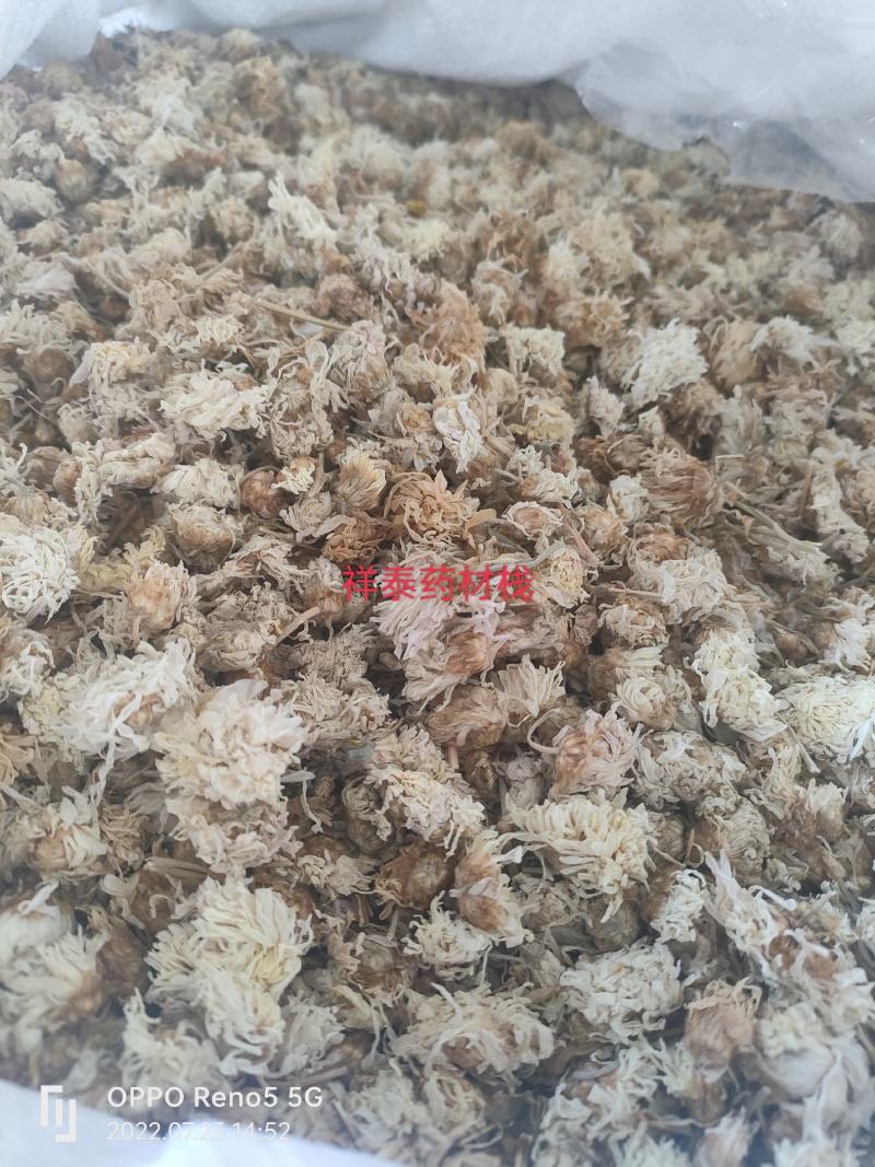 （热销）菊花产地河北产地大货实物拍摄量多从优祥泰药材栈