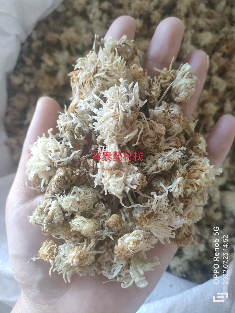 （热销）菊花产地河北产地大货实物拍摄量多从优祥泰药材栈