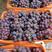 聊城巨葡萄，精品巨峰葡萄，代发全国，价格美丽，产地直发