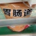 胃肠道饲料，调理肠道，改善肠道健康，适合各阶段禽类使用，
