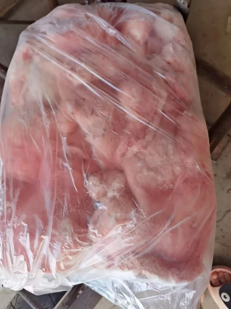 羊尾油，大块的，白白净净，干净漂亮，厂家直销，一手货源，