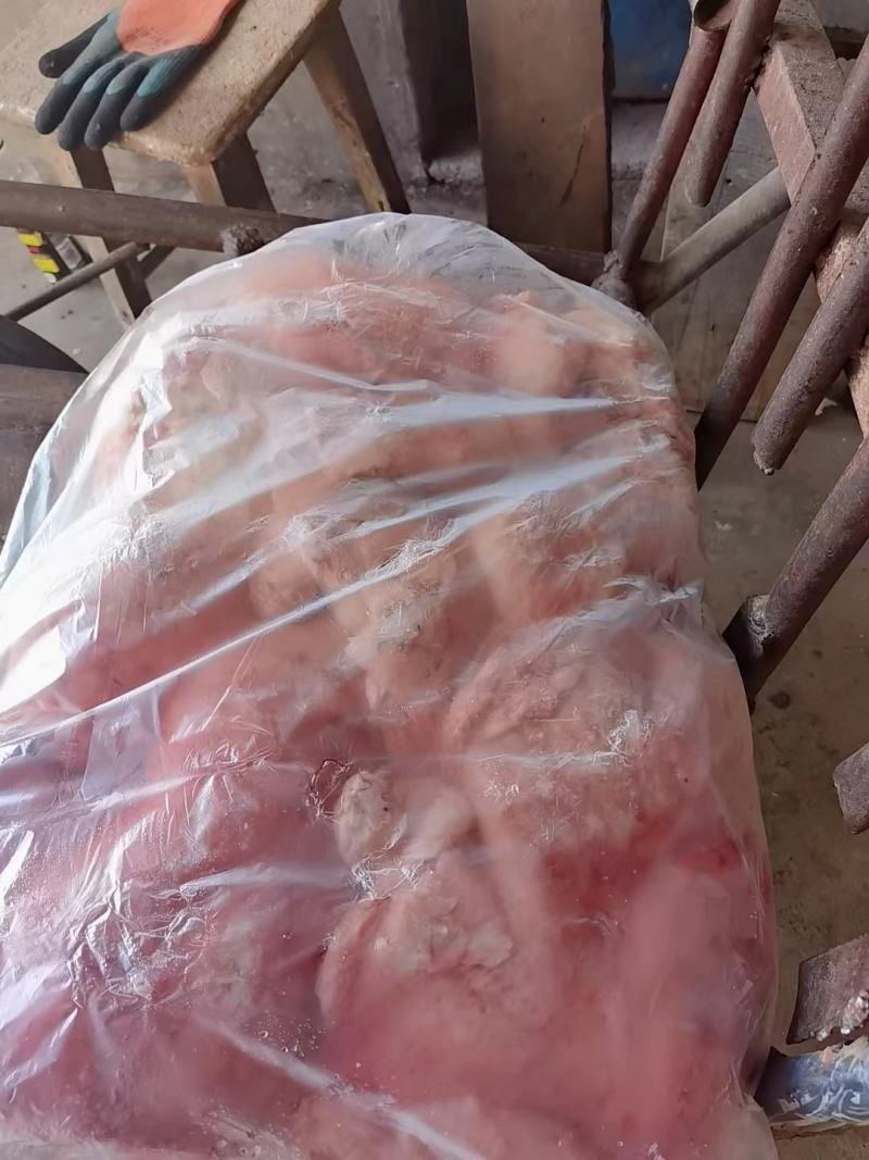 羊尾油，大块的，白白净净，干净漂亮，厂家直销，一手货源，