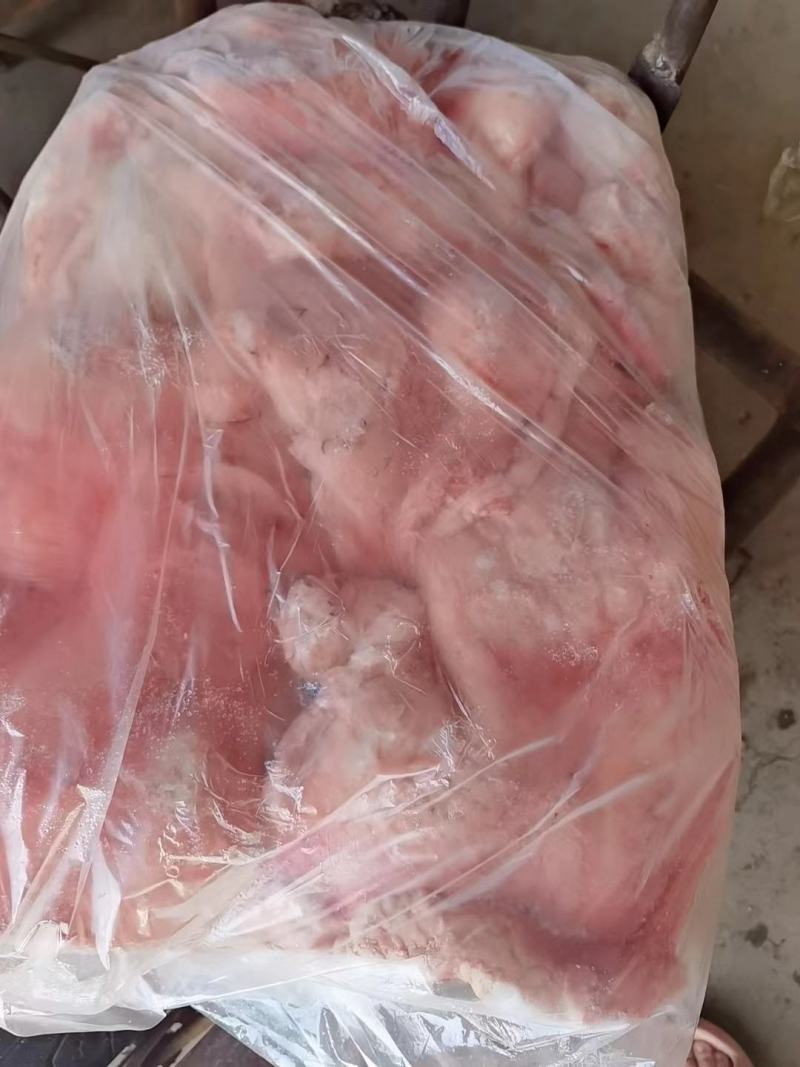 羊尾油，大块的，白白净净，干净漂亮，厂家直销，一手货源，