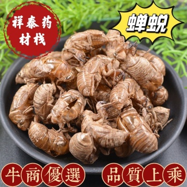 蝉蜕金蝉壳知了壳皮蝉衣虫蜕知了猴壳祥泰药材栈中药