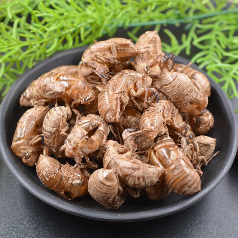 蝉蜕金蝉壳知了壳皮蝉衣虫蜕知了猴壳祥泰药材栈中药