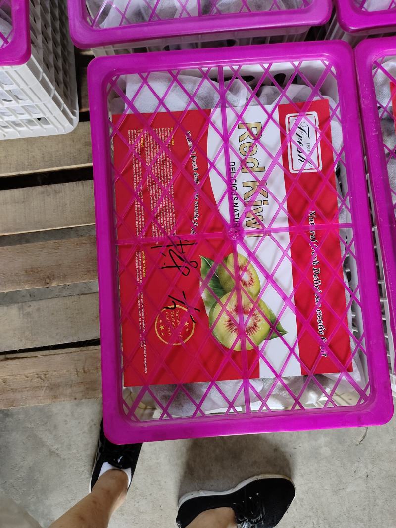 四川蒲江红心猕猴桃，红阳，东红各种规格齐全，专业代办团队