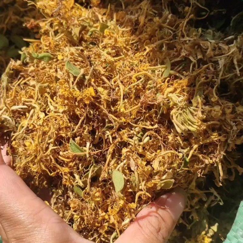 金银花没开花的无叶无杂质生晒无硫产地直供